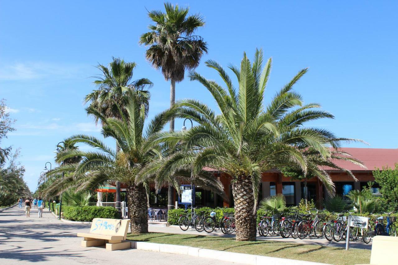 Sulmare Alba Adriatica Bed & Breakfast Dış mekan fotoğraf